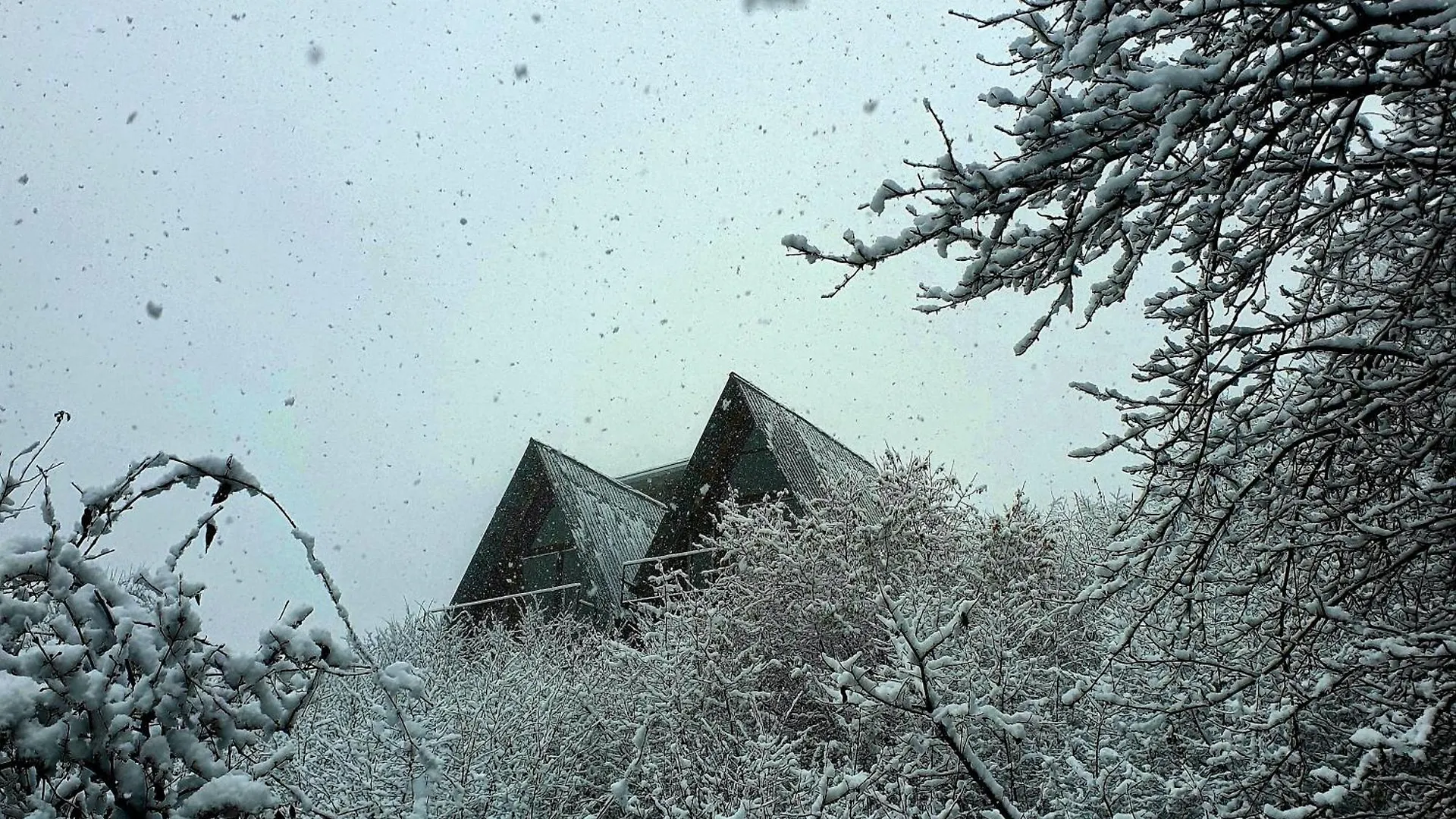 Wayside Cottage Batumi