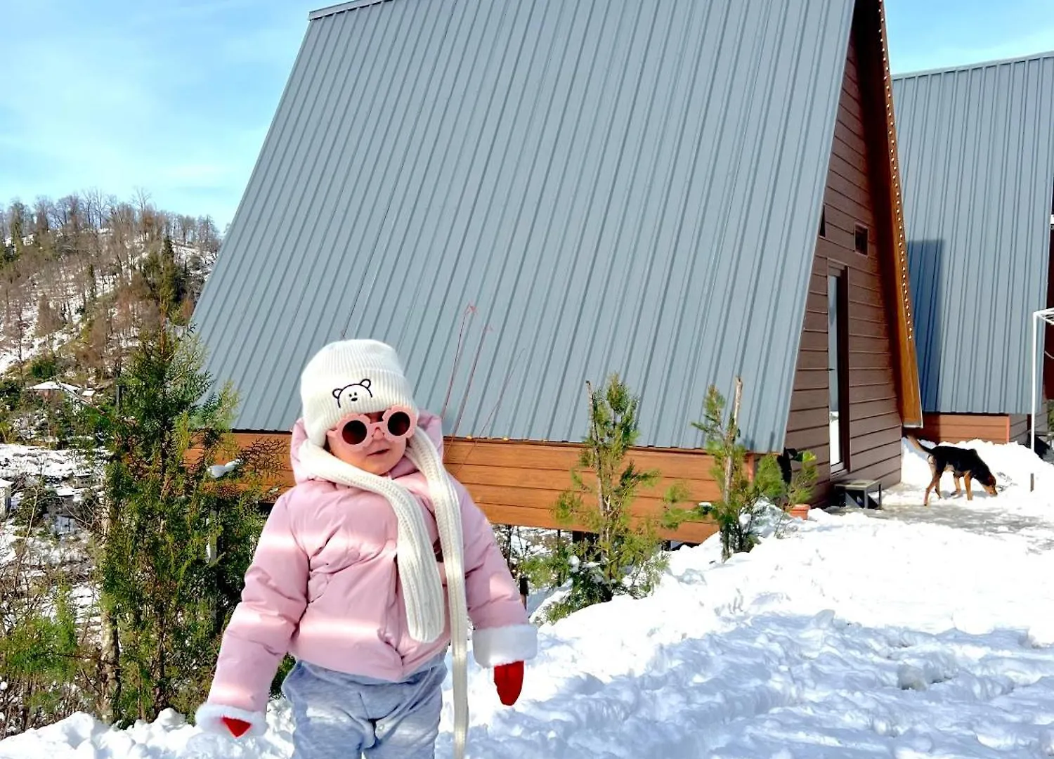 Chalet Wayside Cottage Batumi